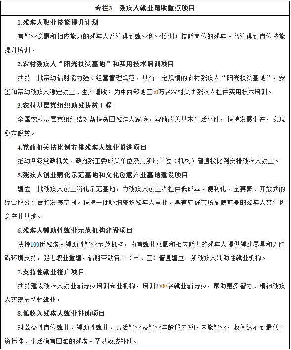 專欄3殘疾人就業(yè)增收重點(diǎn)項(xiàng)目